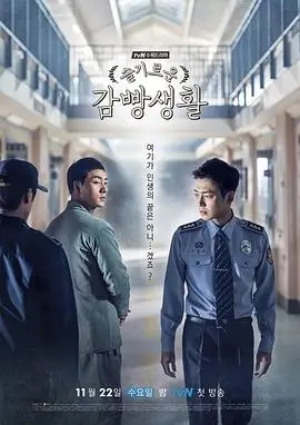 雾港谜案 热播电视剧全集在线观看