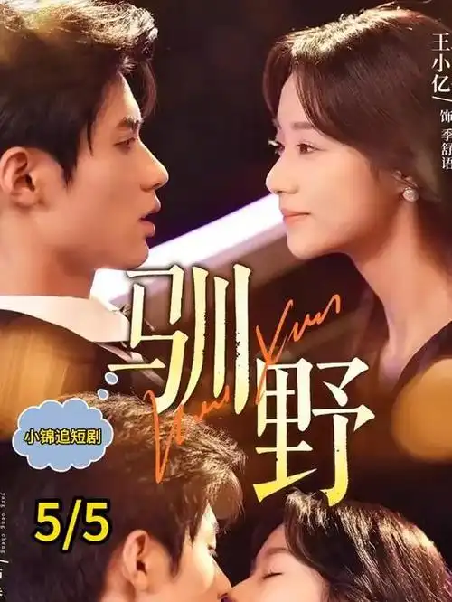 第九个夏天 热播电视剧全集高清在线观看